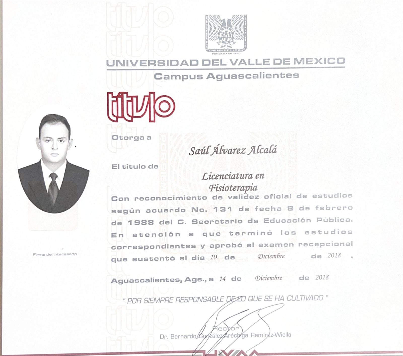 Título de Licenciatura en Fisioterapia — Universidad del Valle de México